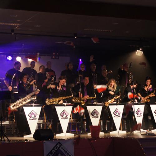 swingin05.jpg 80